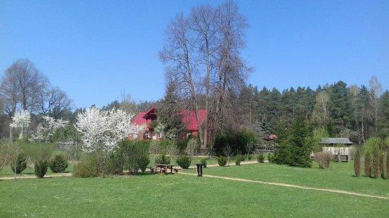Ogród Leśny Silvarium